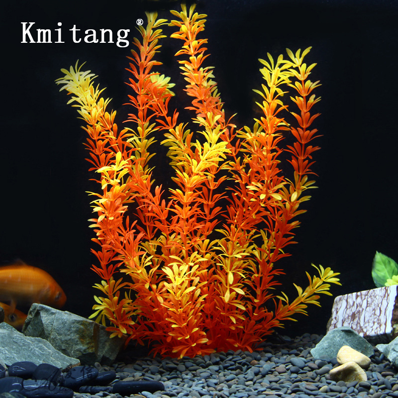 Ocean Aquarium - 100Cm Thực Vật Nhiệt Đới Lớn