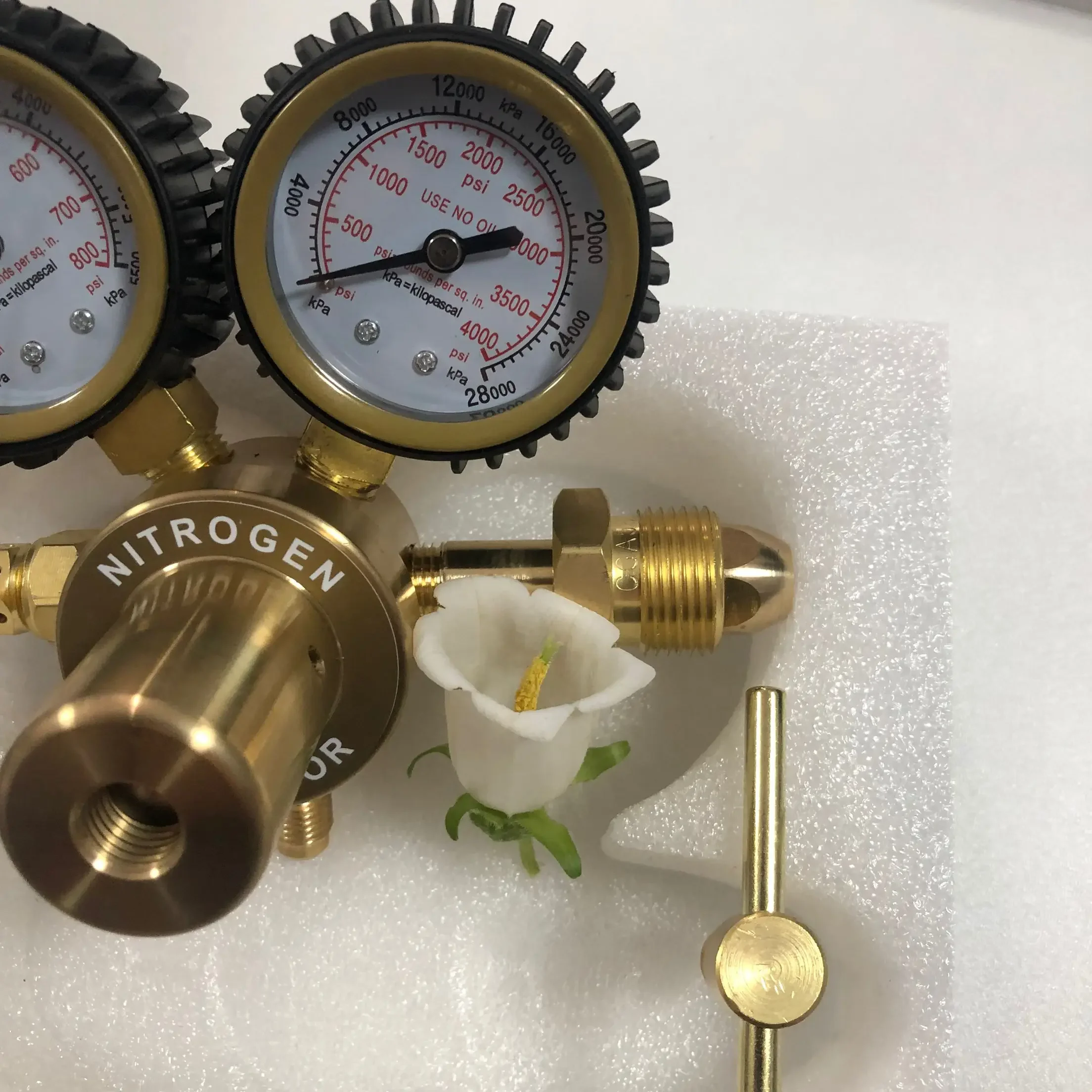 Pressure Reducer American Styl - đánh giá và giá Nitrate Reductase