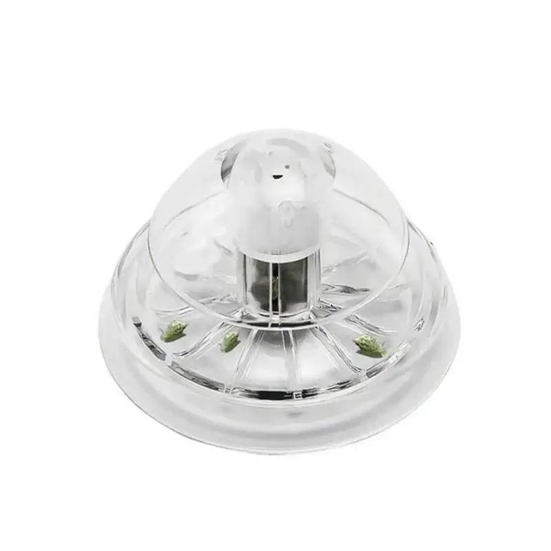 2026 New 6/8CM Clear Plastic S - đánh giá và giá Ocean Aquarium
