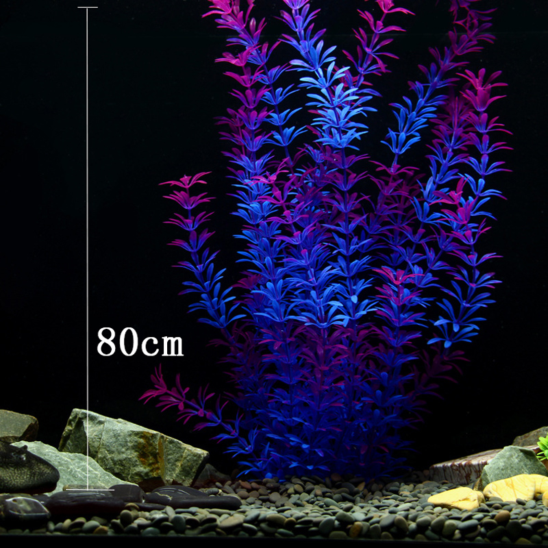 100Cm Thực Vật Nhiệt Đới Lớn N - đánh giá và giá Ocean Aquarium