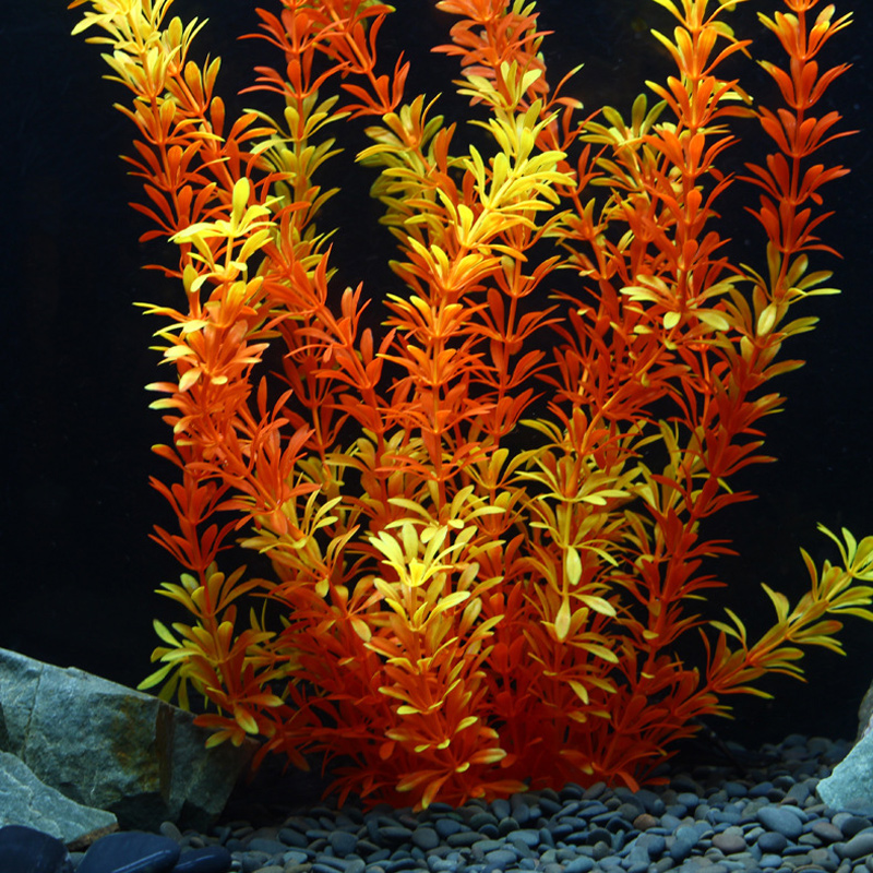 100Cm Thực Vật Nhiệt Đới Lớn N - đánh giá và giá Ocean Aquarium