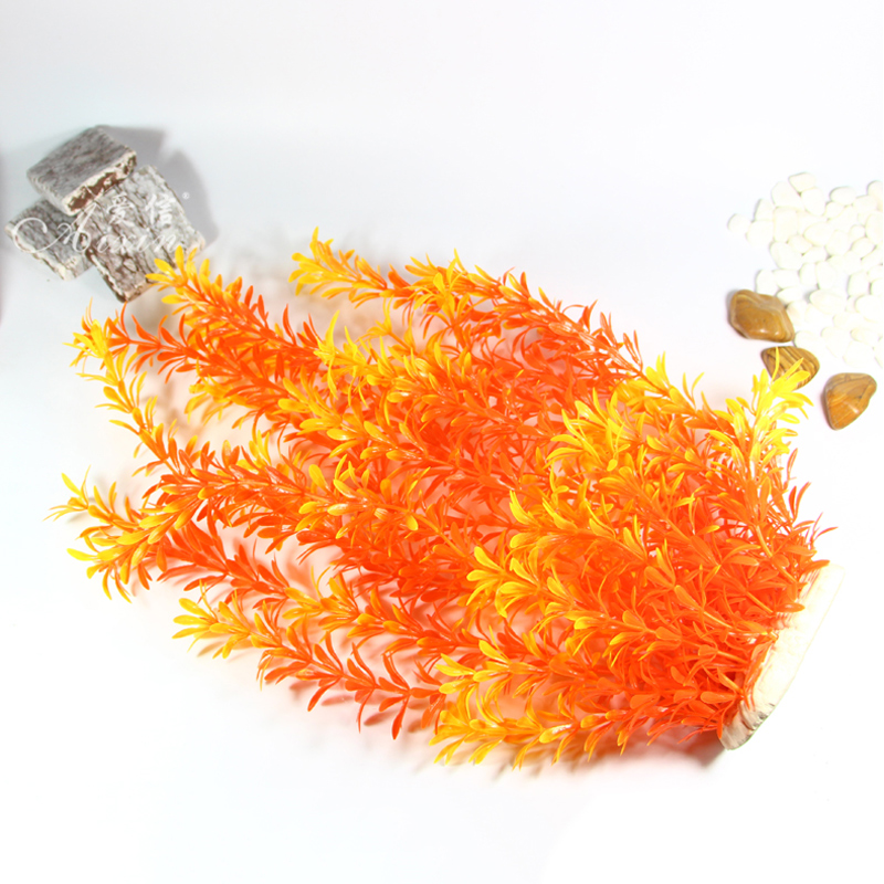 100Cm Thực Vật Nhiệt Đới Lớn N - đánh giá và giá Ocean Aquarium