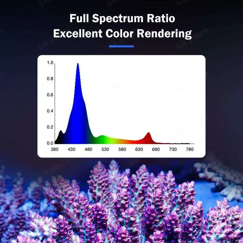 In stock  KASSRAY T90 90W Flat - đánh giá và giá Marine Coral