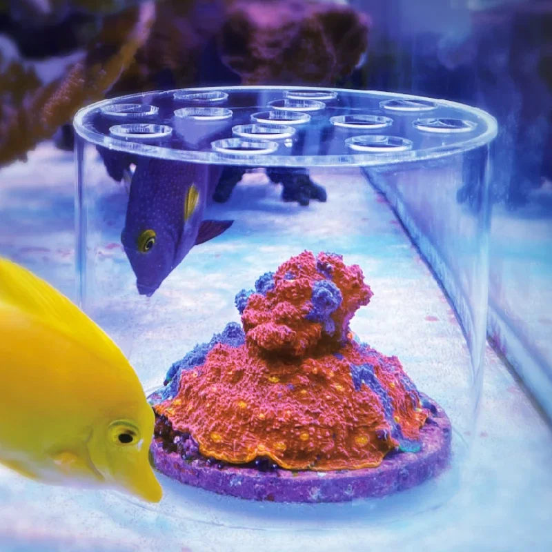 Vastocean Aquarium Arcylic Cor - đánh giá và giá Reef Aquarium