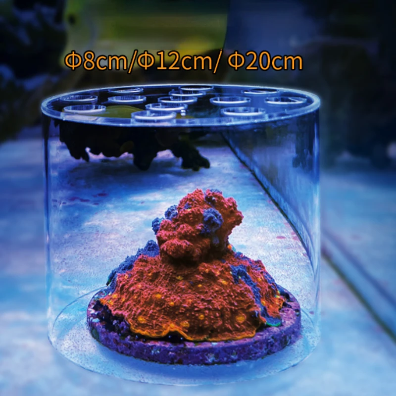 Vastocean Aquarium Arcylic Cor - đánh giá và giá Reef Aquarium