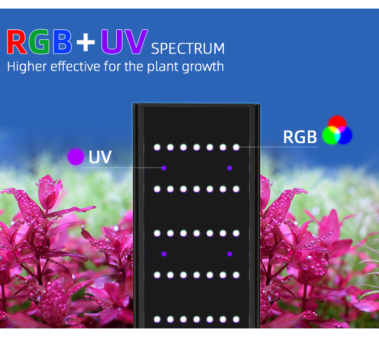 WEEK AQUA L Series APP Control - đánh giá và giá Reef Lighting