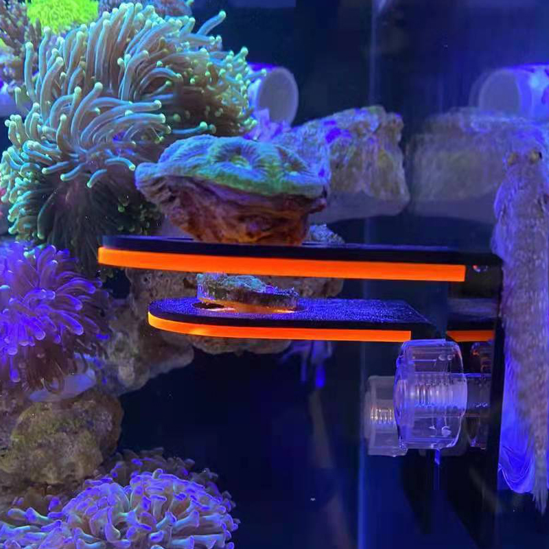 Aquarium Acrylic Fluorescent C - đánh giá và giá Marine Coral