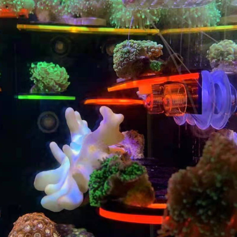 Aquarium Acrylic Fluorescent C - đánh giá và giá Marine Coral