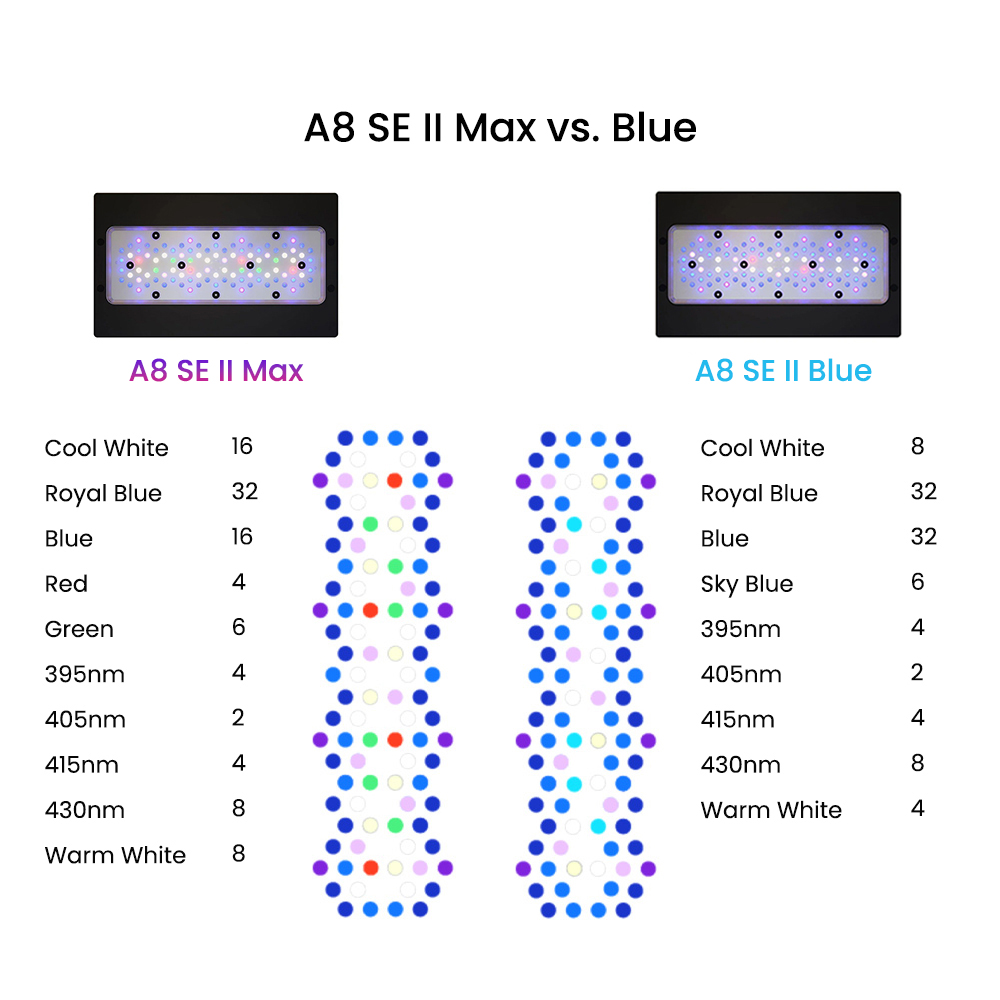 A8SE II Max And Blue 240W Full - đánh giá và giá Saltwater Tank