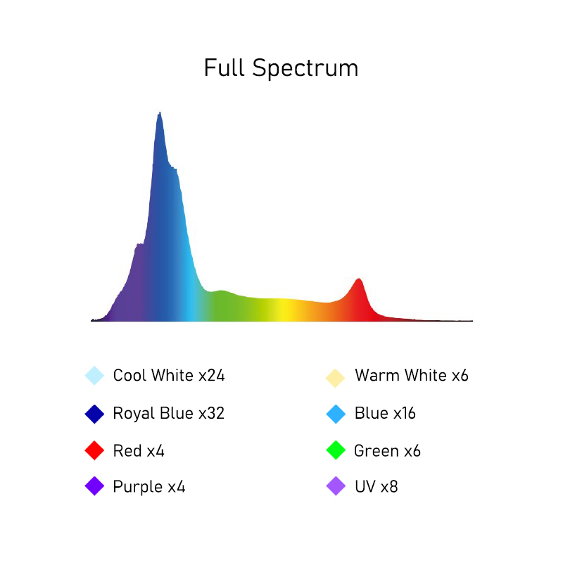 A8SE II Max And Blue 240W Full - đánh giá và giá Saltwater Tank