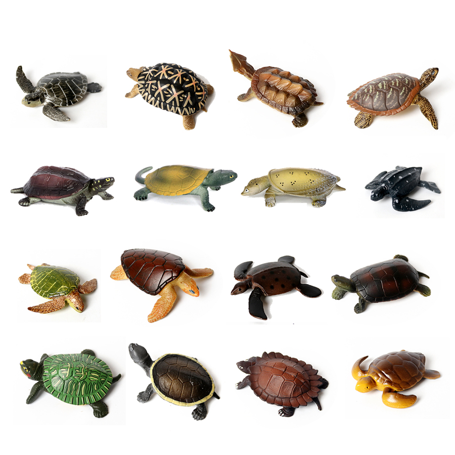 Thực Tế Bức Tiểu Họa Sinh Vật  - đánh giá và giá Ocean Aquarium